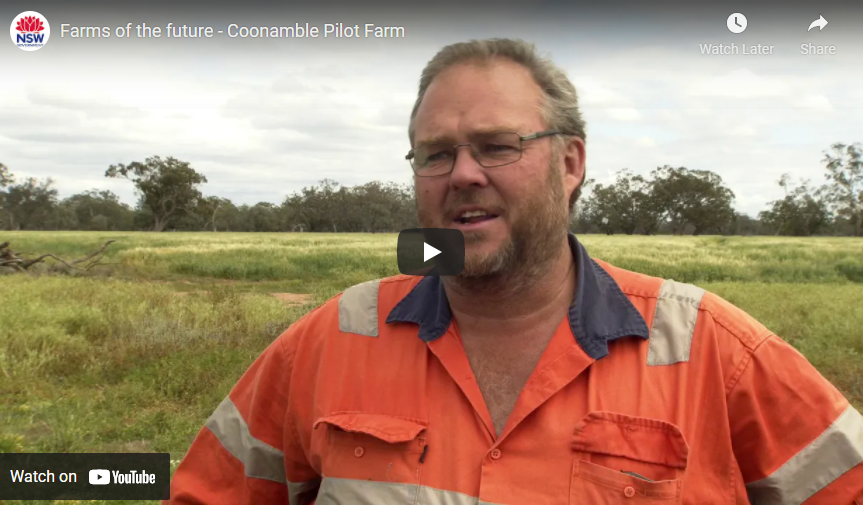 Brolga - NSW DPI Farms of the Future | AgriFutures Producer Technology ...